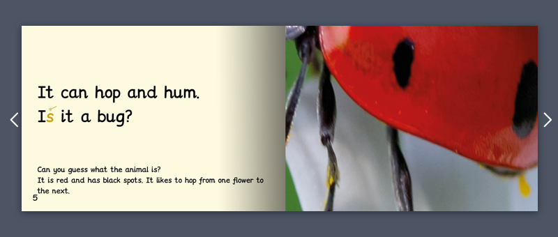 Stage 2 Monster Phonics book non fiction example