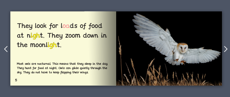 Stage 3.1 book example non fiction