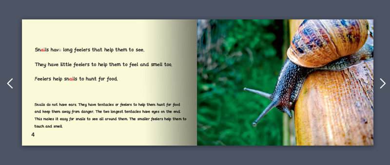 Stage 4 Monster Phonics book example non fiction