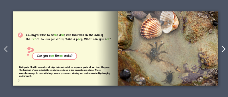 Stage 5 Monster Phonics non fiction example