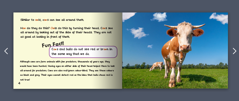Stage 6 non fiction example book by Monster Phonics 